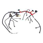 99.5-01 7.3L Ford Main Engine Harness - F81Z12B637EA